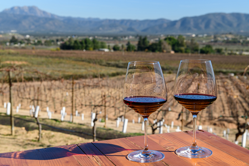 About Mexican Wines